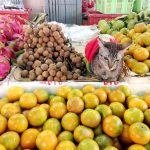 marche bangkok