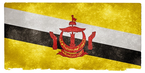 laos flag photo