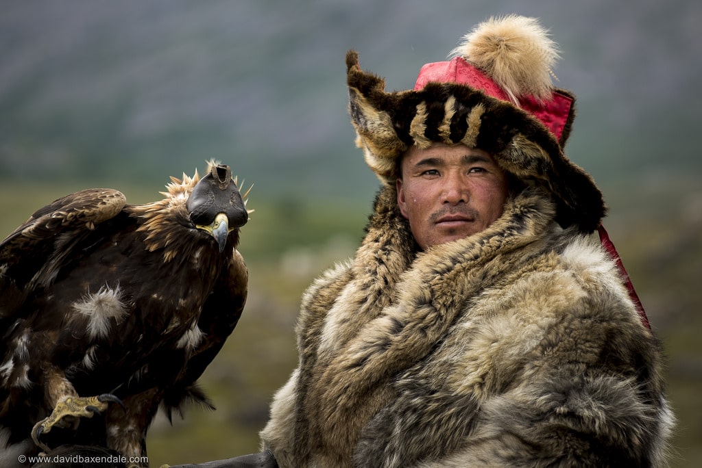 mongolia eagle photo