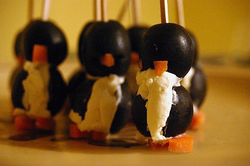  penguins snack photo