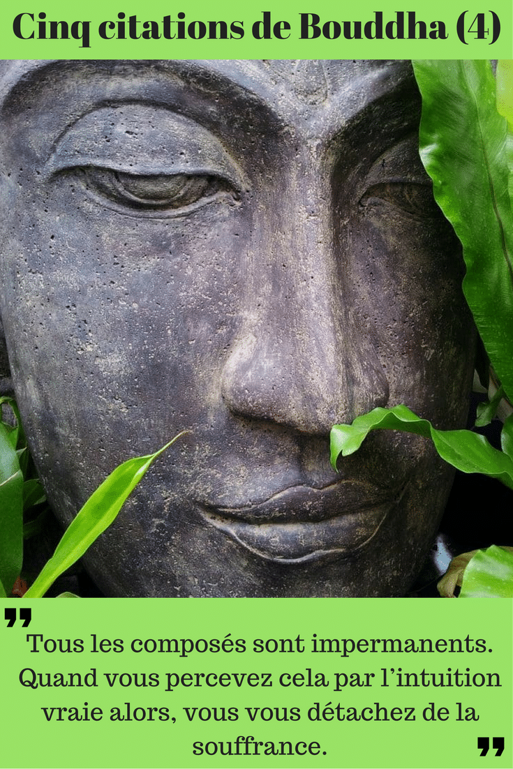 citation de bouddha www.info-asie.com
