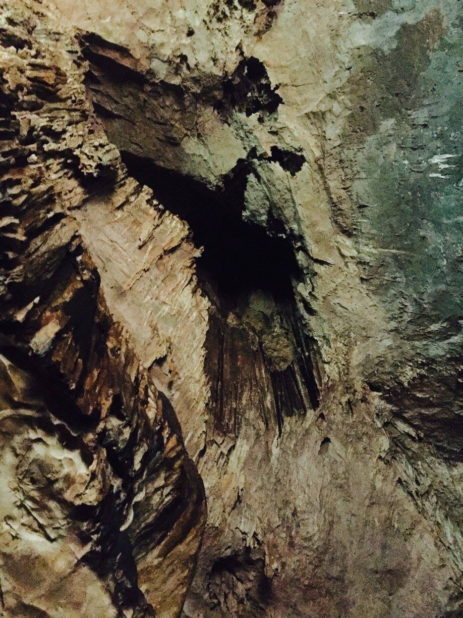 Plafond de la grotte et la maison des chauves-souris.