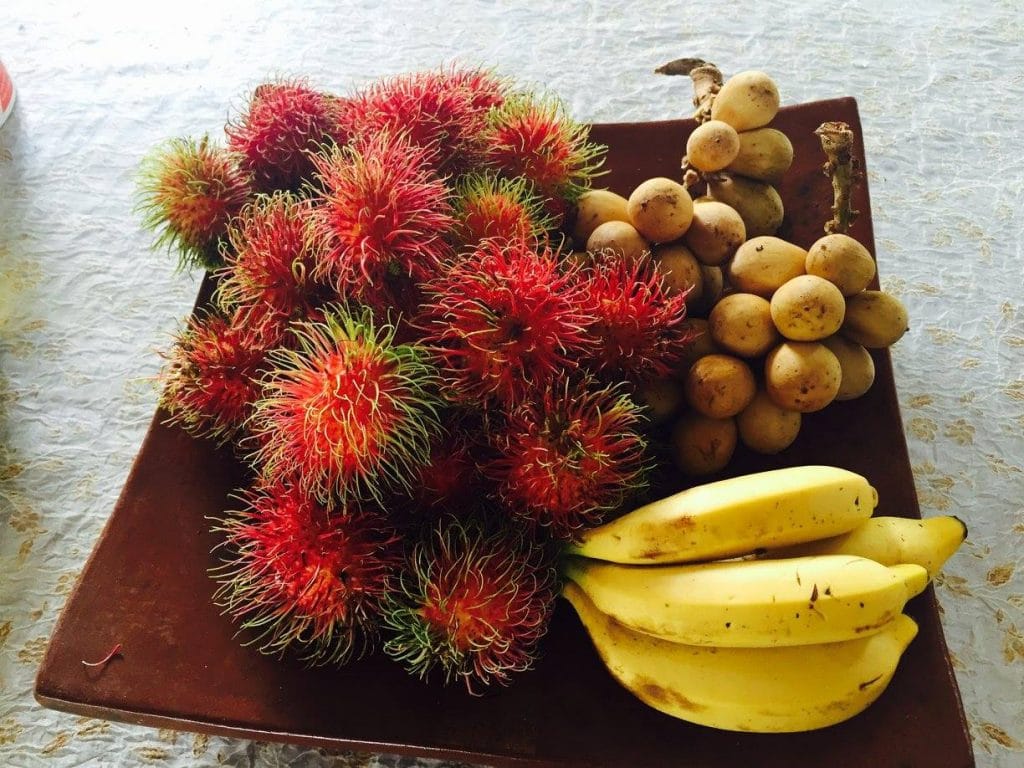 Fruits frais locaux que j'ai pris tous les matins à mon homestay; D 