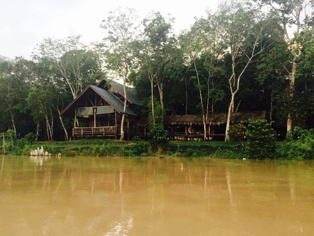 Notre maison dans la jungle près de la rivière